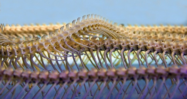 Někdy páteř bolí. 